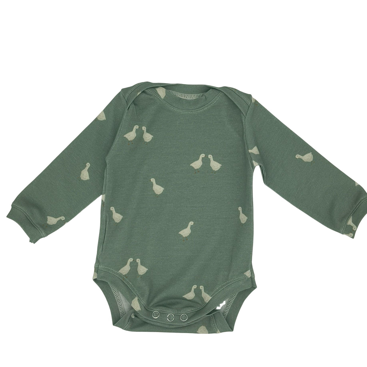 Body grün, Gänse
